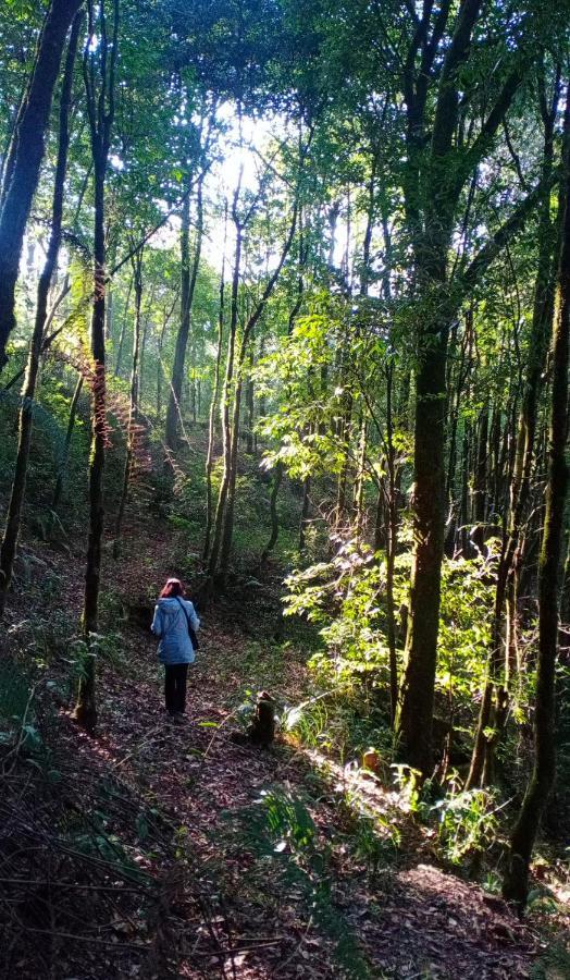 Aakeet Lyang Homestay Kurseong Exterior foto